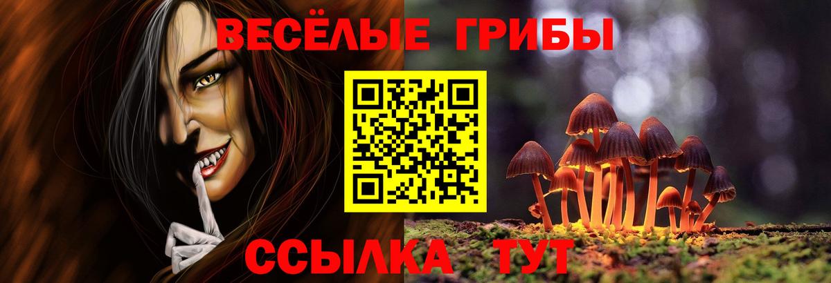 Галлюциногенные грибы Psilocybe Серпухов